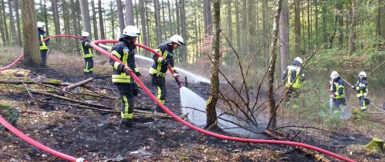 Mehr über den Artikel erfahren Vegetationsbrand im Wald bei Holzfeld